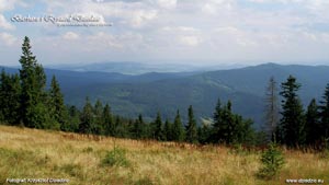 Hala Boracza, Rysianka i Hala Lipowska